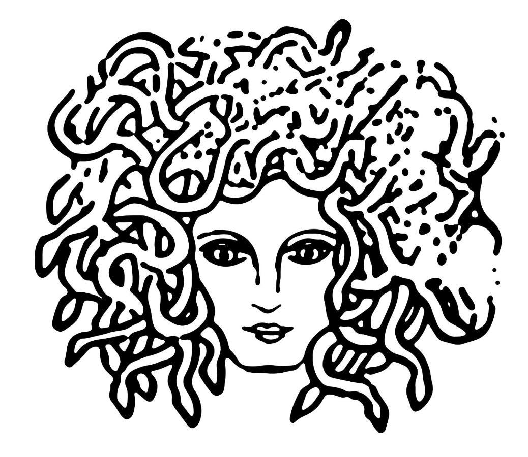 Medusa Duomo Affittacamere Napoli